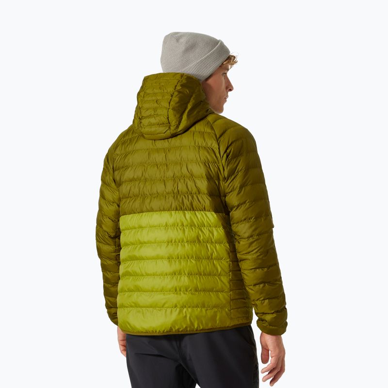 Vyriška pūkinė striukė Helly Hansen Banff Hooded Insulator bright moss 2