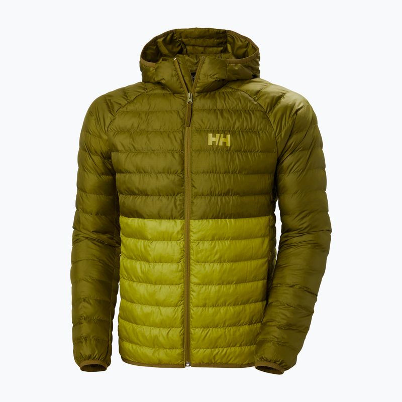 Vyriška pūkinė striukė Helly Hansen Banff Hooded Insulator bright moss 11