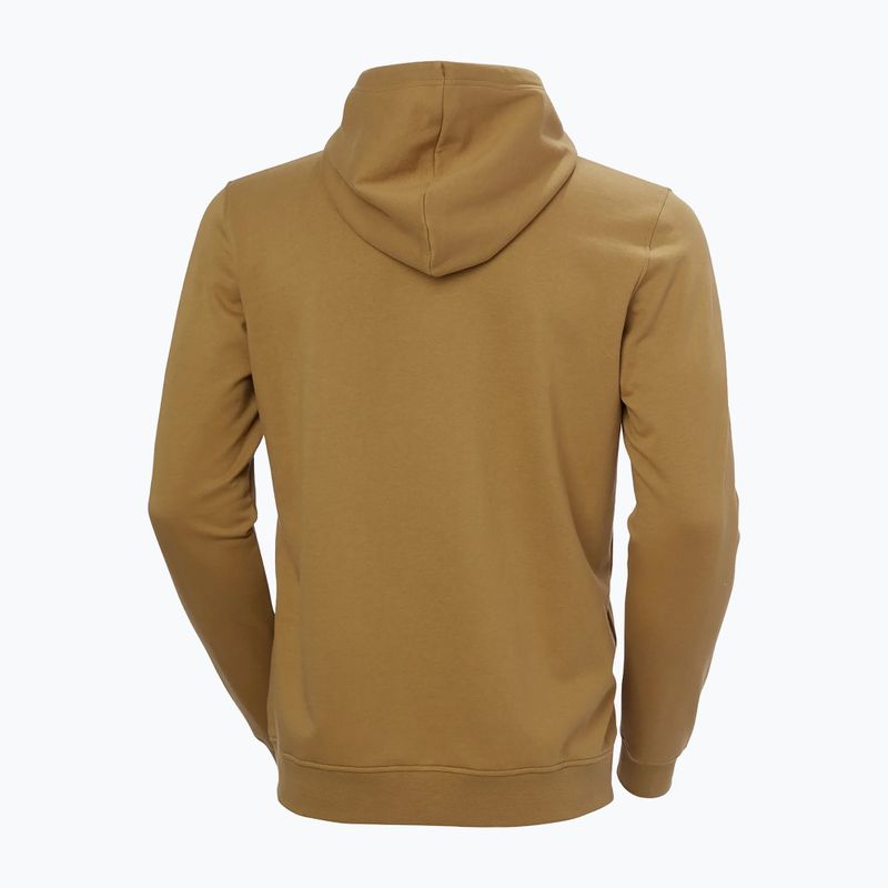 Vyriškas džemperis Helly Hansen Nord Graphic Pull Over Hoodie lynx 6