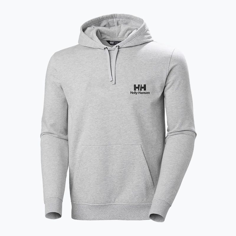 Vyriškas džemperis Helly Hansen Nord Graphic Pull Over Hoodie grey melange 2