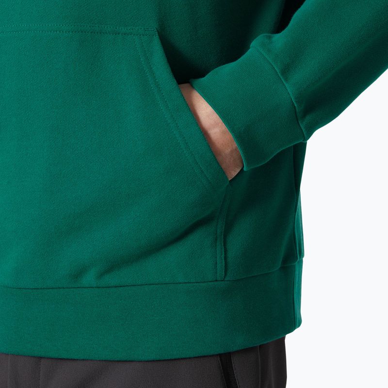 Vyriškas džemperis Helly Hansen HH Logo Hoodie 2.0 emerald 4