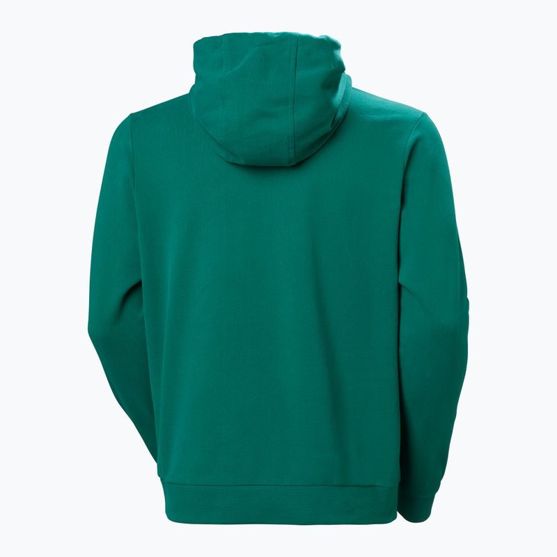 Vyriškas džemperis Helly Hansen HH Logo Hoodie 2.0 emerald 6