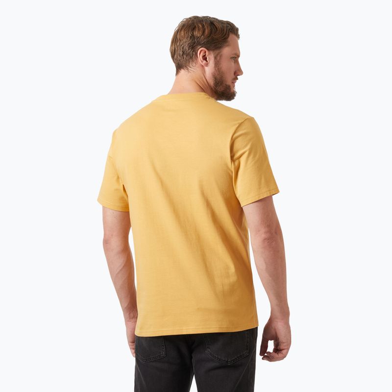 Vyriška striukė Helly Hansen Logo 3.0 sand 2
