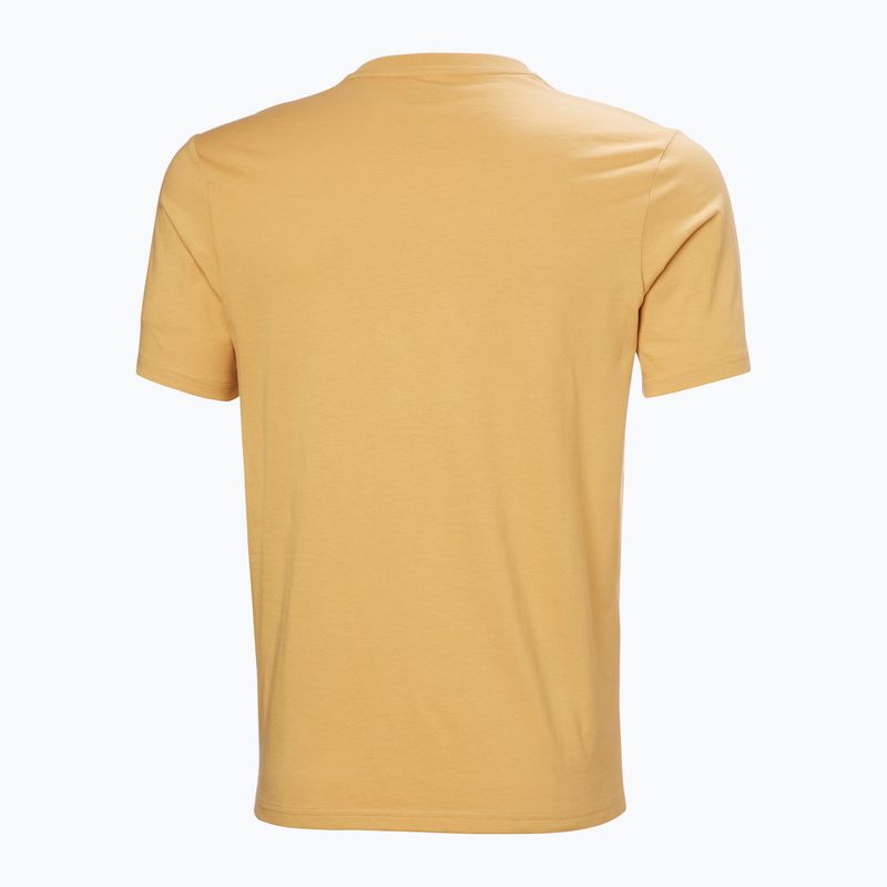 Vyriška striukė Helly Hansen Logo 3.0 sand 5