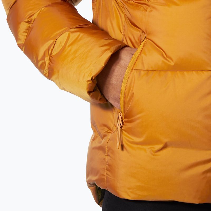 Vyriška pašiltinta striukė Helly Hansen Active Winter mustard 4