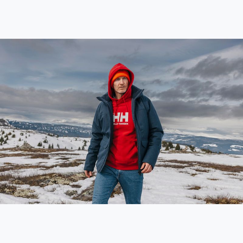 Vyriškas džemperis Helly Hansen HH Logo Hoodie red 7