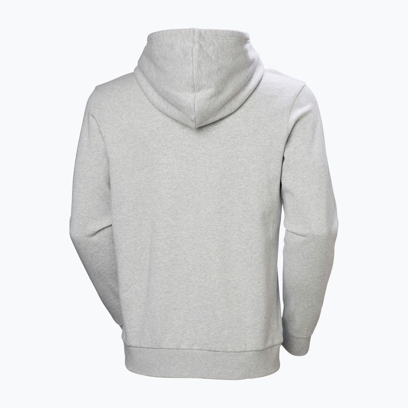 Vyriškas džemperis Helly Hansen HH Logo Hoodie grey/melange 6