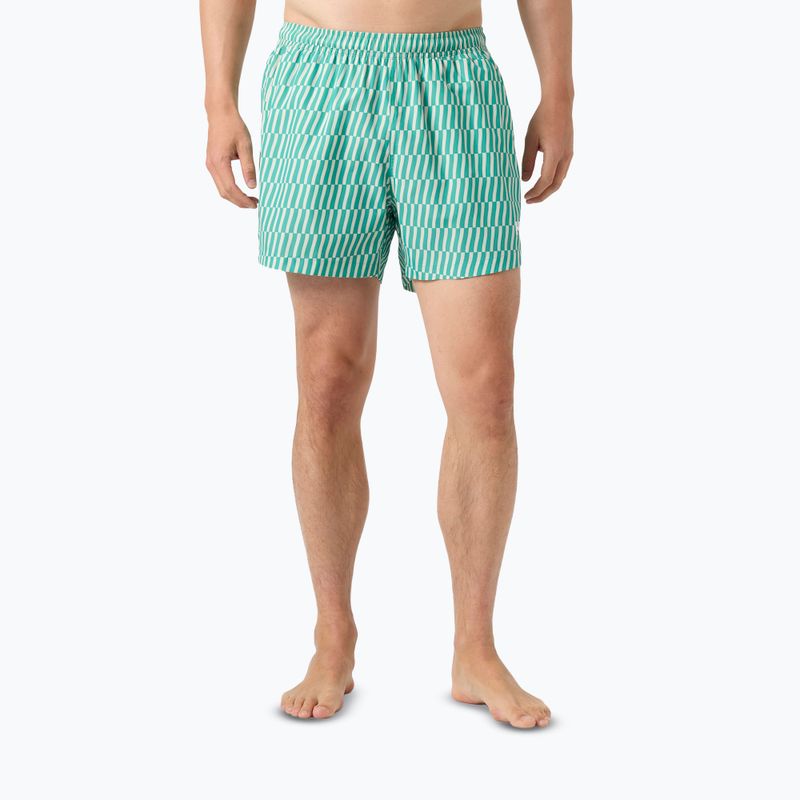 Vyriški buriavimo šortai Helly Hansen Newport Trunk 4.5" dark mint offset stripe ao 3