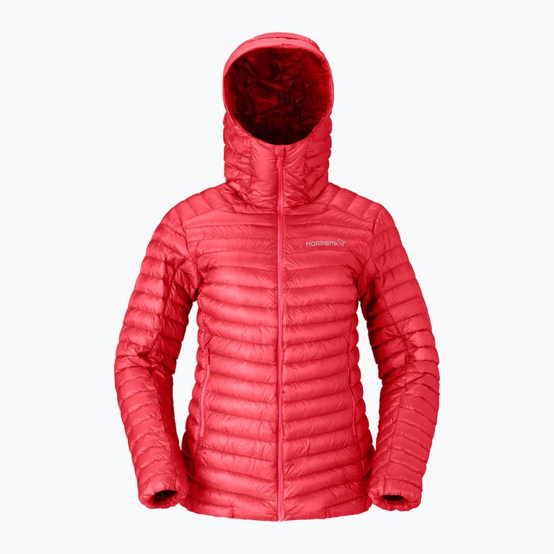 Moteriška pūsta striukė Norrona Trollveggen Down800 Super Light Hood Baked Apple 5