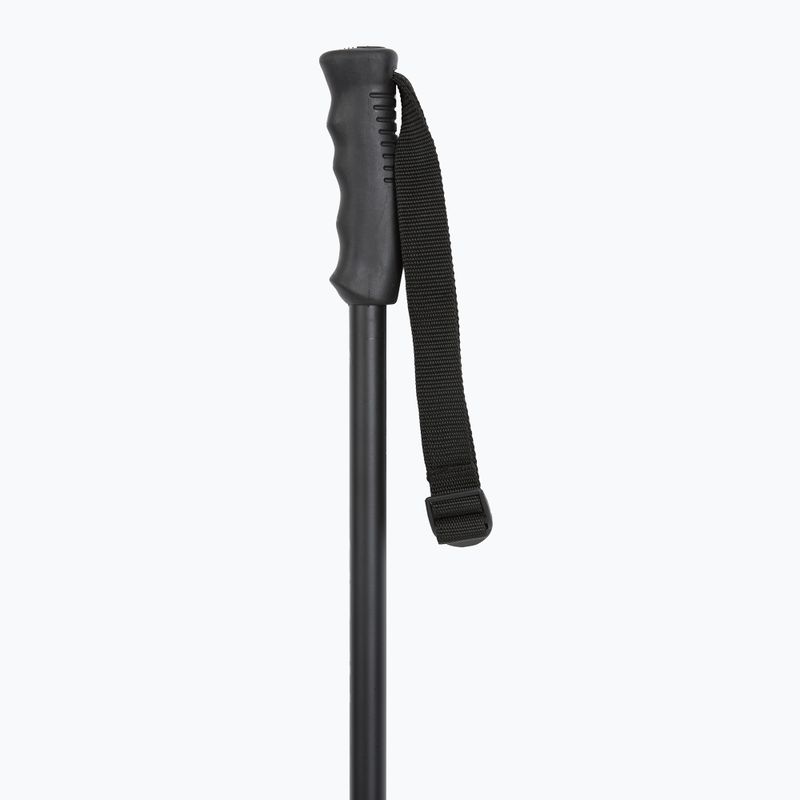 Slidžių lazdos HEAD Multi black/black 2
