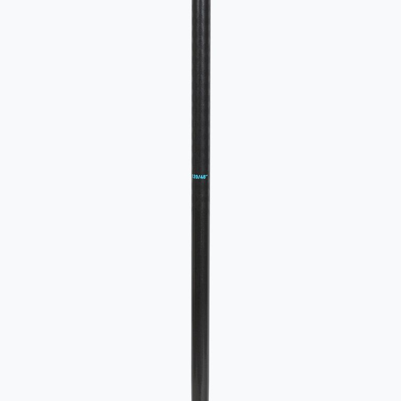 Slidžių lazdos HEAD Frontside carbon black/speed blue 4