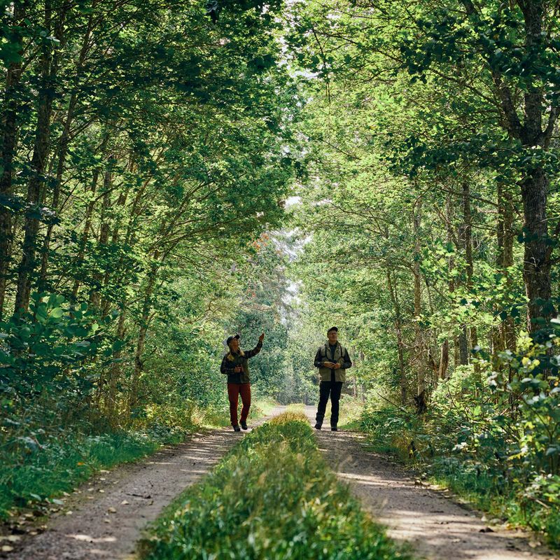 Vyriškos žygio kelnės Pinewood Caribou TC Extreme moss green/black 6