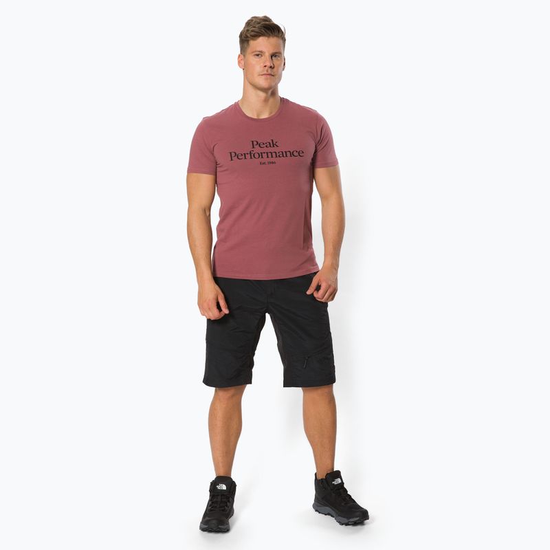 Vyriški trekingo marškinėliai Peak Performance Original Tee brown G77266240 2