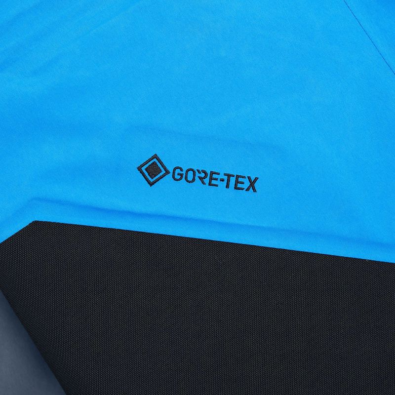 Vyriškos slidinėjimo kelnės Peak Performance Alpine GTX 3L azure ascent 10