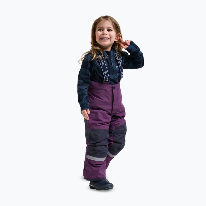 Vaikiškas slidinėjimo komplektas Didriksons Skare Multi northern purple 8
