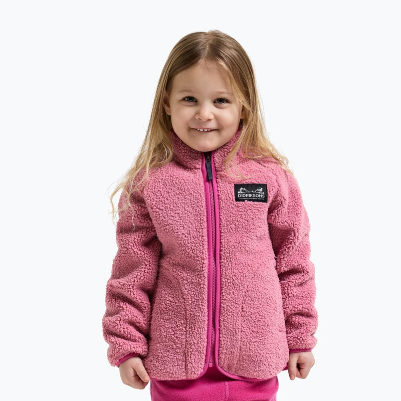 Vaikiškas flisinis džemperis Didriksons Gibbsc 2 Fz heather pink/cactus pink