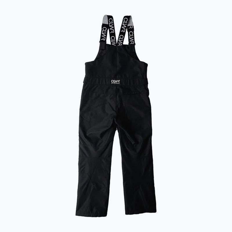 Vyriškos snieglenčių kelnės Colourwear Slash Bib black 11