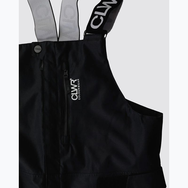 Vyriškos snieglenčių kelnės Colourwear Slash Bib black 12