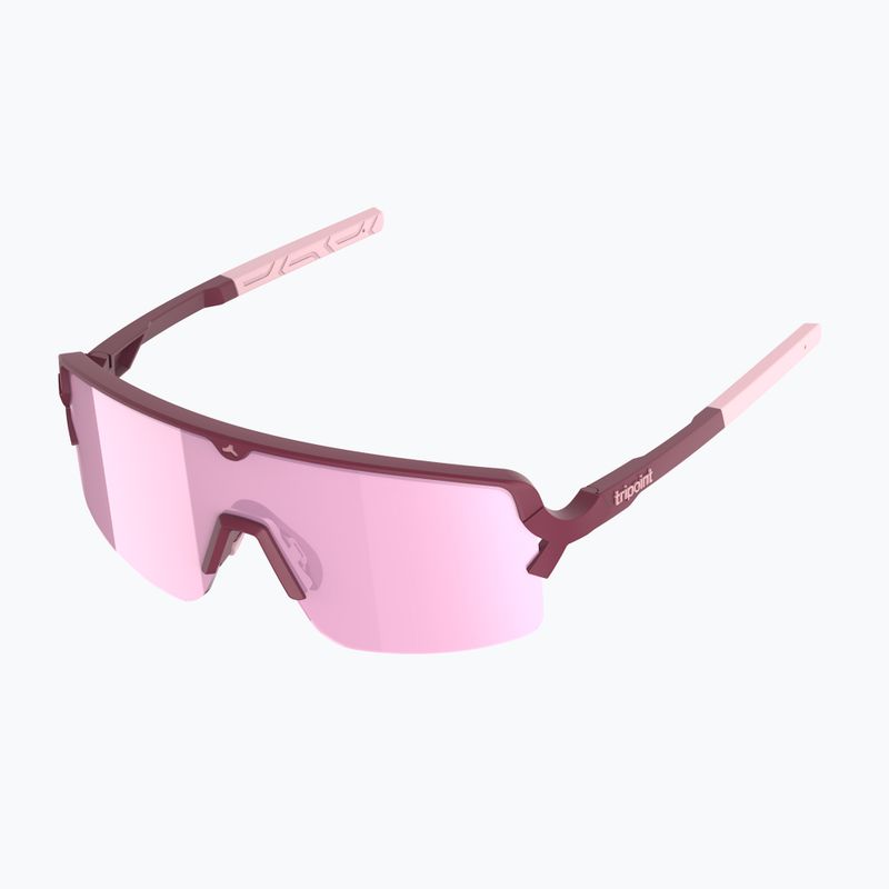 Akiniai nuo saulės Tripoint 009 Lake Prespa Small matt burgundy/brown/pink multi 3