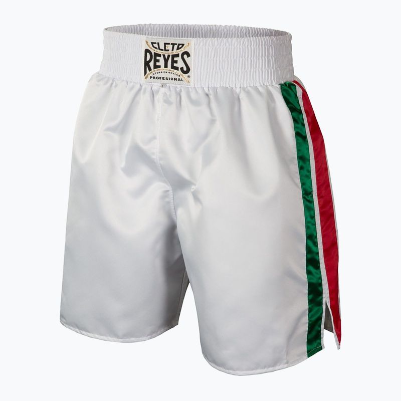 Vyriški bokso šortai Cleto Reyes Satin Boxing white/green/red