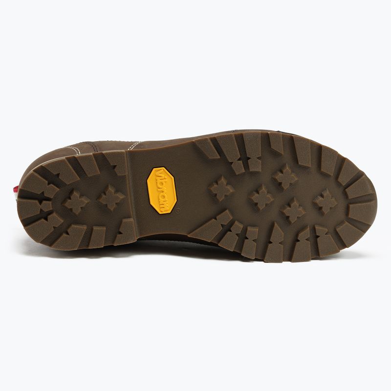 Vyriški trekingo batai Dolomite 54 Low Fg Gtx brown 247959 0300 4