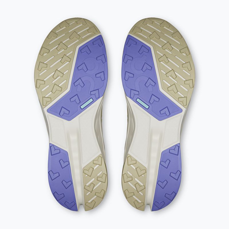 Vyriški bėgimo bateliai On Running Cloudsurfer Trail 2 Waterproof ghost/chalk 5