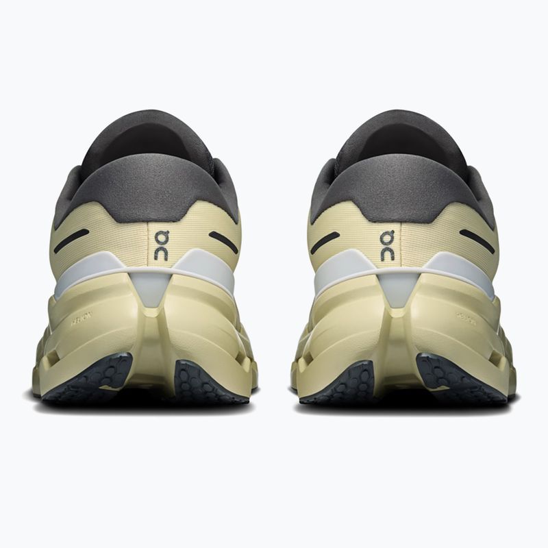 Vyriški bėgimo batai On Cloudrunner 3 Waterproof pollen/haze 4