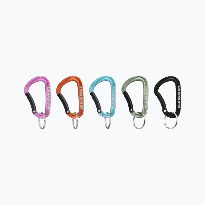 Mammut Mini karabinas Classic Keylock S 9000 spalvotas