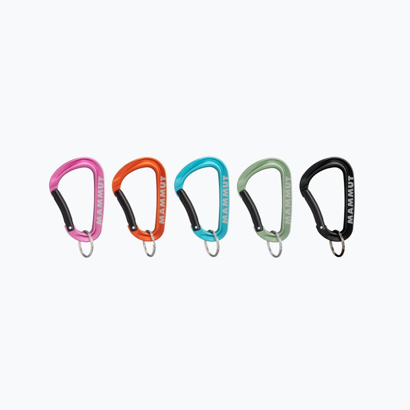 Mammut Mini karabinas Workhorse Keylock L 9000 1 vnt. įvairių spalvų