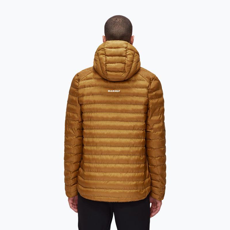 Vyriška pūkinė striukė Mammut Albula IN gold 1013-01781 2