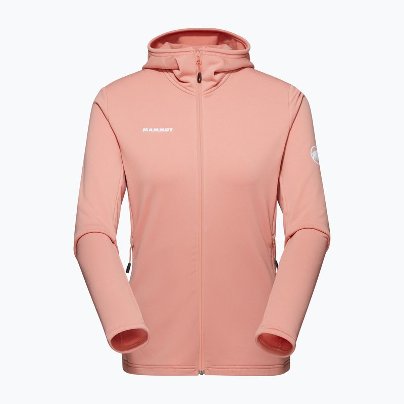 Moteriškas žygio džemperis Mammut Aconcagua Light ML Hooded quarz dust 5