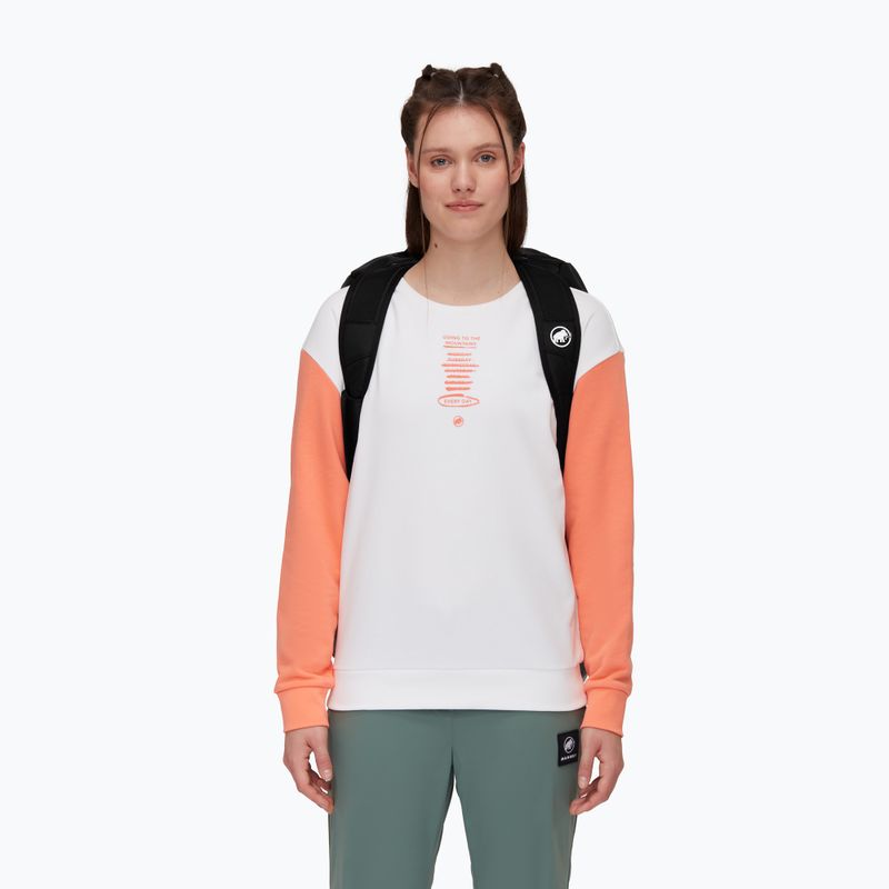 Kelioninis krepšys Mammut Cargon 90 l black 13