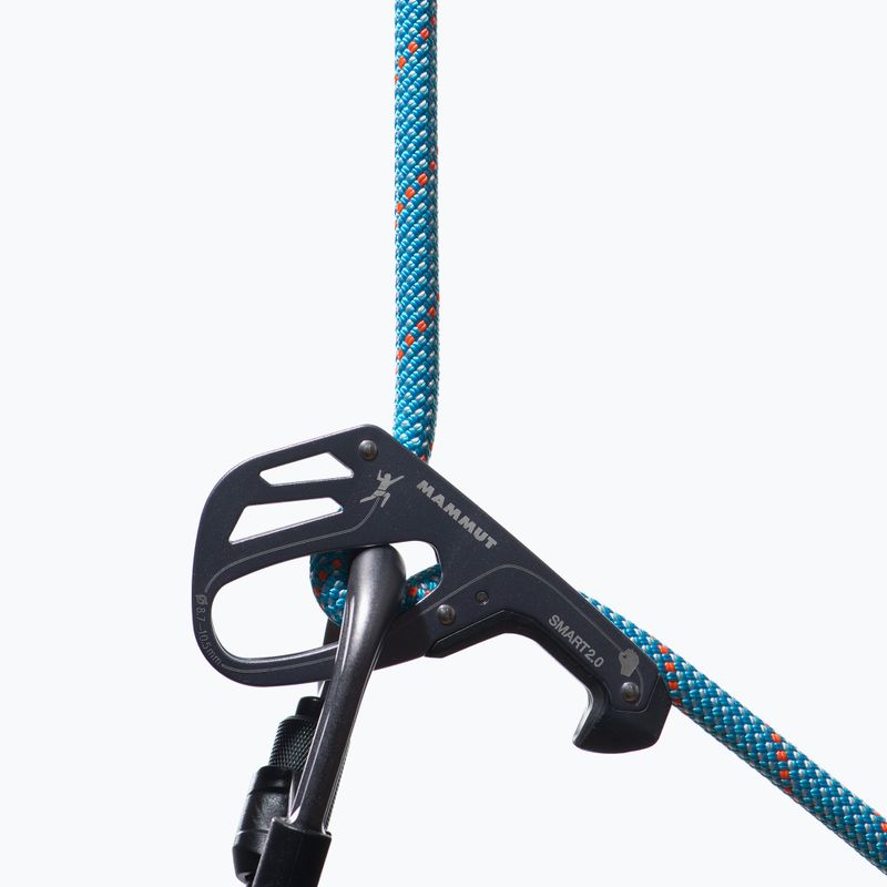 Laipiojimo lynas Mammut 9.5 Crag Classic Rope ice mint/white 2