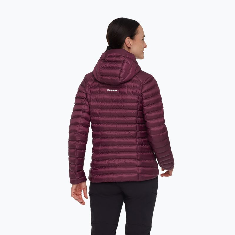 Moteriška šilta striukė Mammut Albula IN Hooded wine/black 2