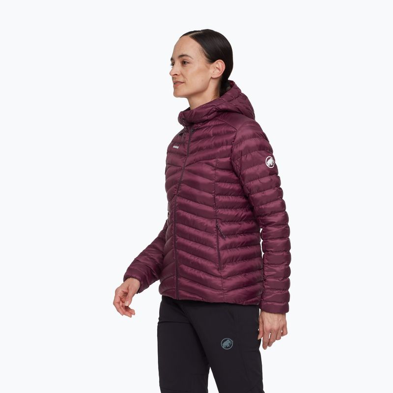 Moteriška šilta striukė Mammut Albula IN Hooded wine/black 3