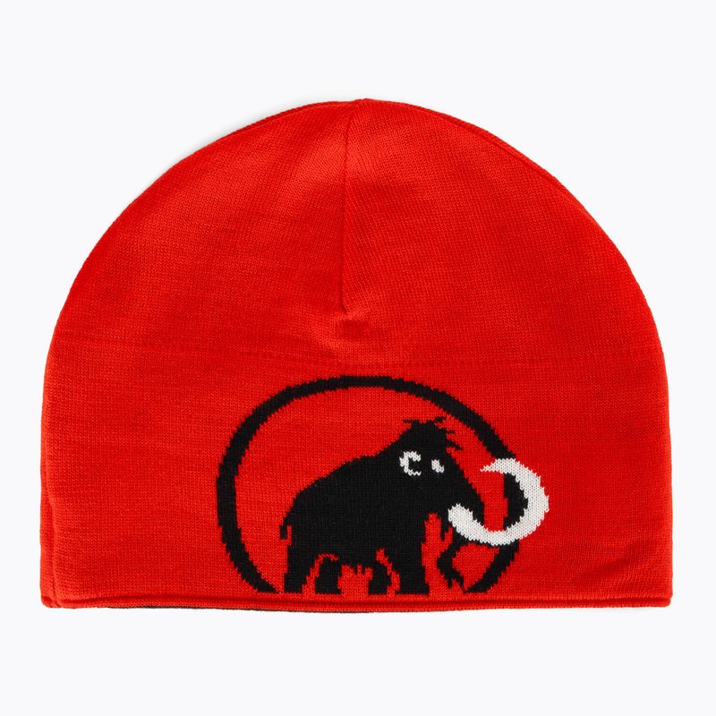 Žieminė kepurė Mammut Logo black 4