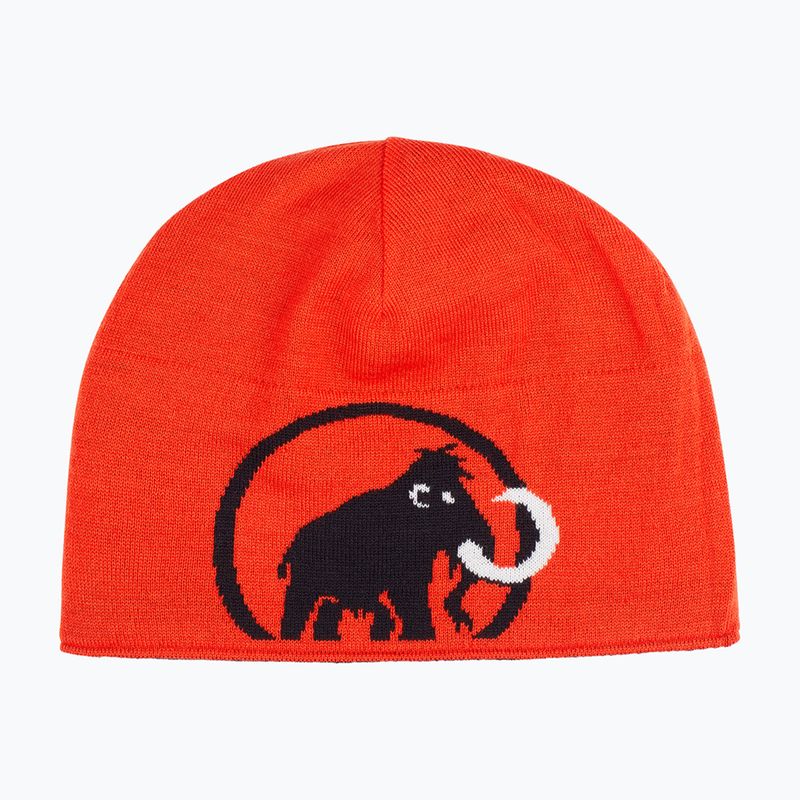 Žieminė kepurė Mammut Logo black 2
