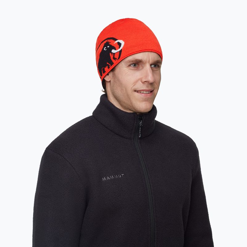 Žieminė kepurė Mammut Logo black 5