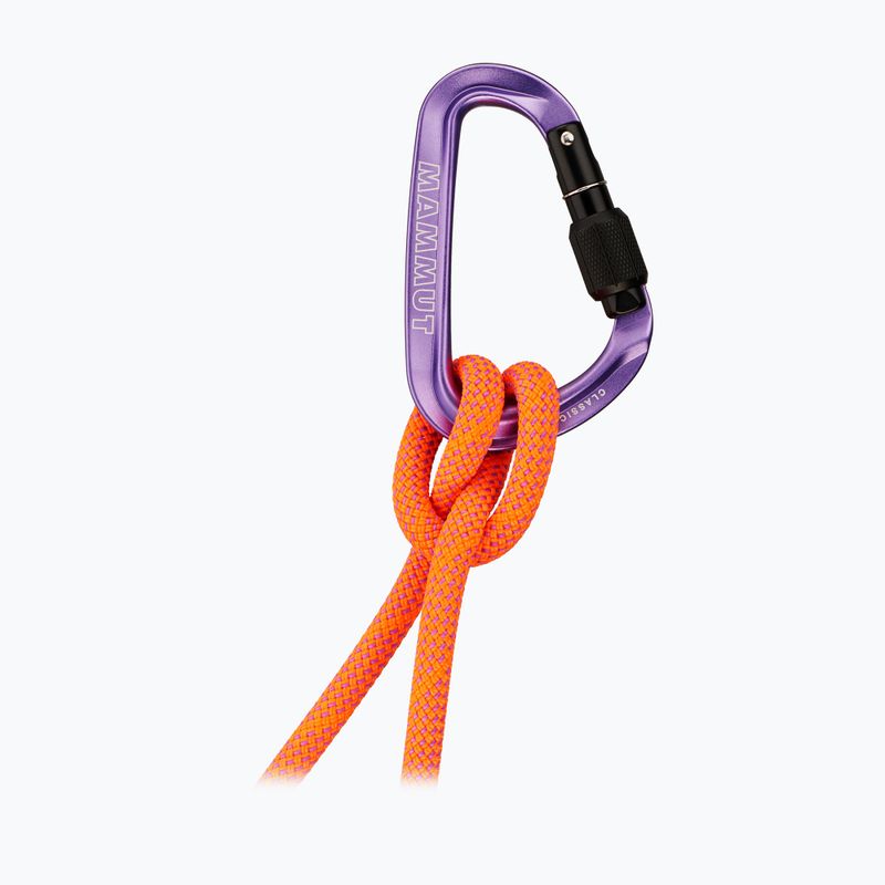 Karabinas Mammut Classic HMS Screwgate screw gate/alpine calamint 2