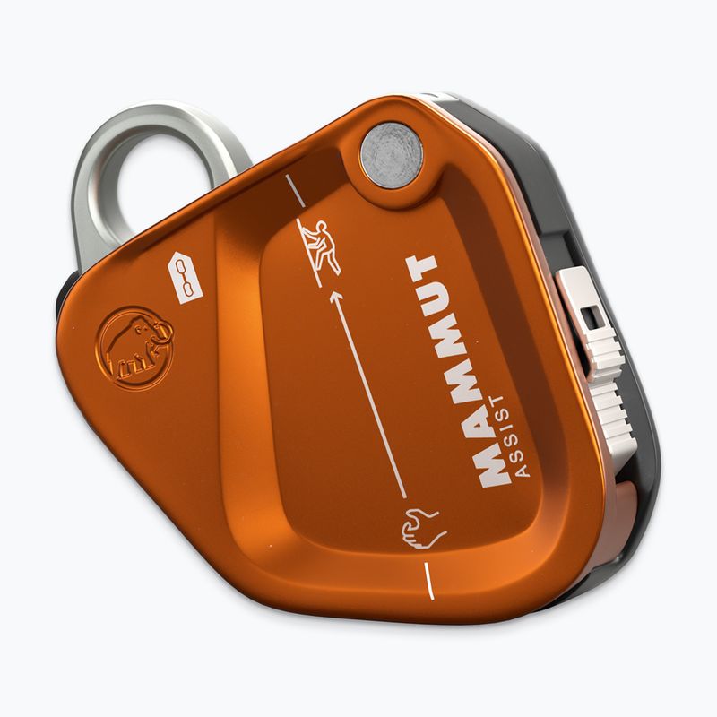 Savaros priemonė Mammut Assist Belay Resistor gold 2