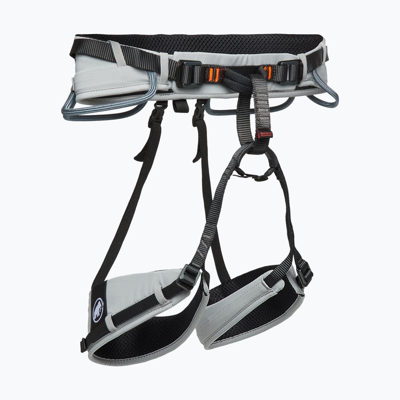 Laipiojimo apraišas Mammut Ophir 4 Slide 2.0 alloy/stratum 2
