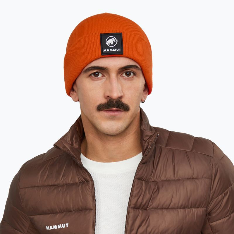 Žieminė kepurė Mammut Fedoz Beanie autumn larice 3