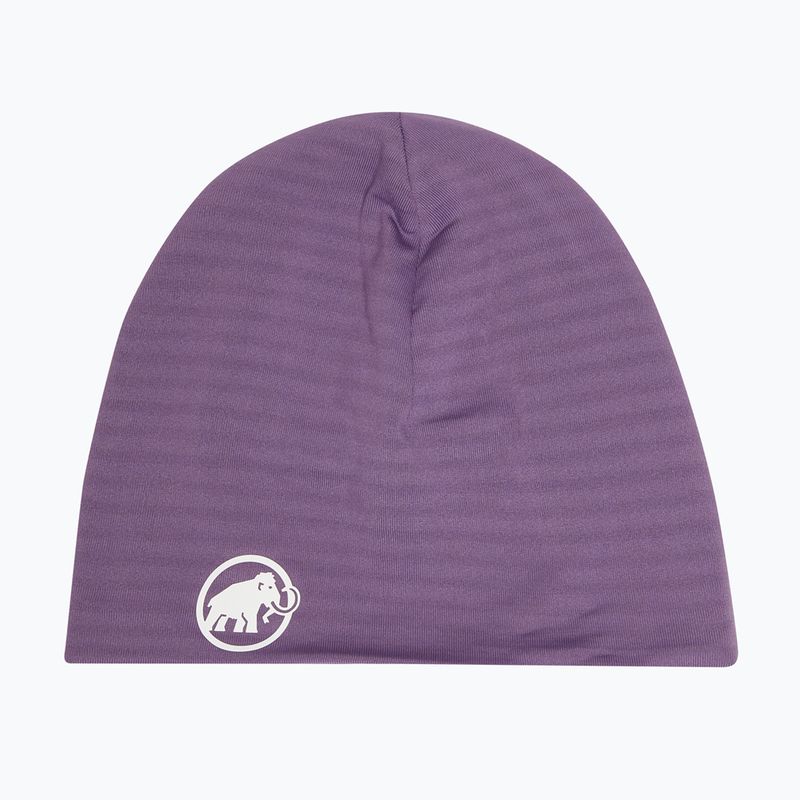 Žieminė kepurė Mammut Taiss Beanie paloja