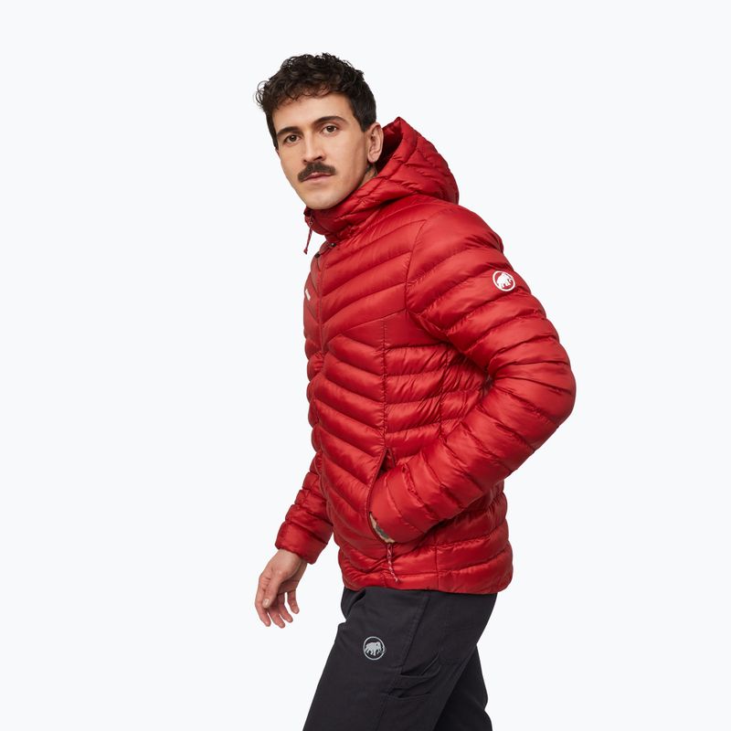 Vyriška pašiltinta striukė Mammut Albula IN Hooded Jacket Men dark mammut red 4