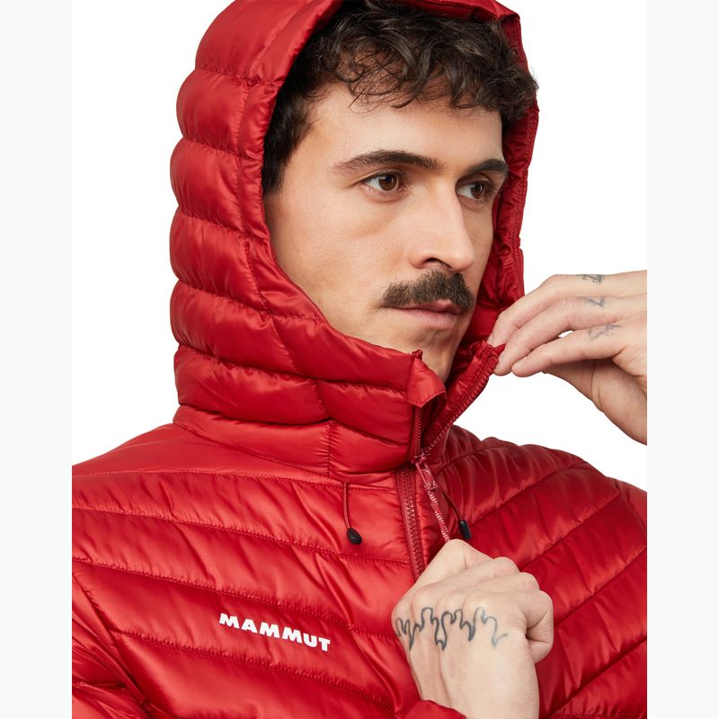 Vyriška pašiltinta striukė Mammut Albula IN Hooded Jacket Men dark mammut red 5