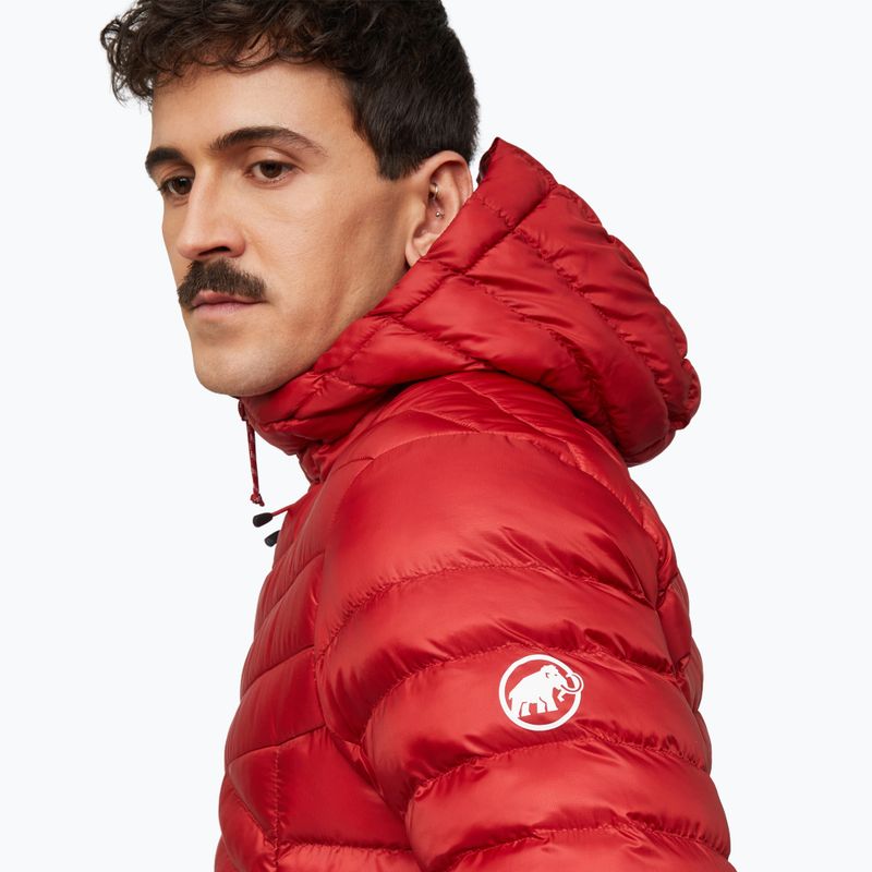 Vyriška pašiltinta striukė Mammut Albula IN Hooded Jacket Men dark mammut red 6