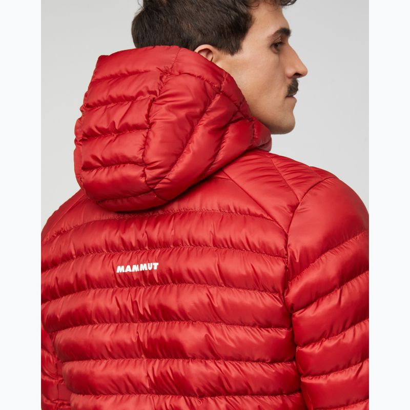 Vyriška pašiltinta striukė Mammut Albula IN Hooded Jacket Men dark mammut red 7