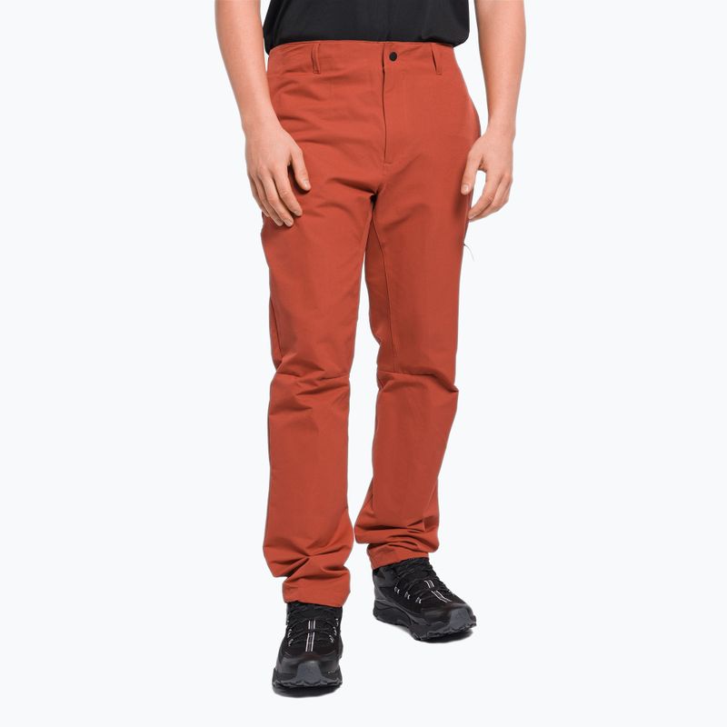 Vyriškos alpinistinės kelnės The North Face Project red NF0A5J7ZUBR1