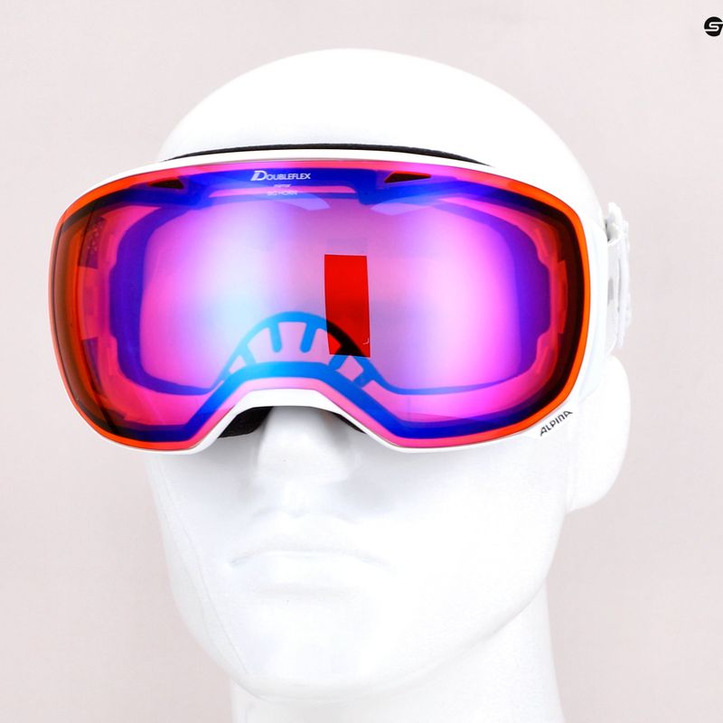 Alpina Big Horn HM slidinėjimo akiniai white/hm blue sph 5