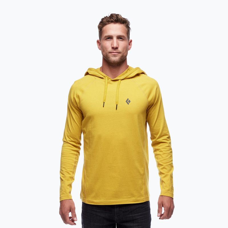 Vyriškas trekingo džemperis Black Diamond Crag Hoody sulphur 2